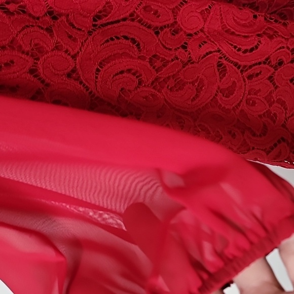 Anthroplogie - Taylor ~ Red Lace Dress - Picture 7 of 15